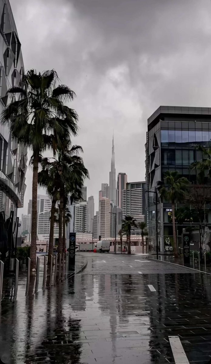 مخلاب🇦🇪⚔️ tweet media