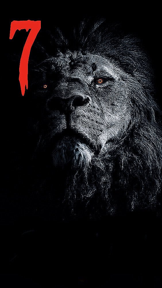 DACHIBA KOUMGBA TCHAIBA DALSHIM tweet media