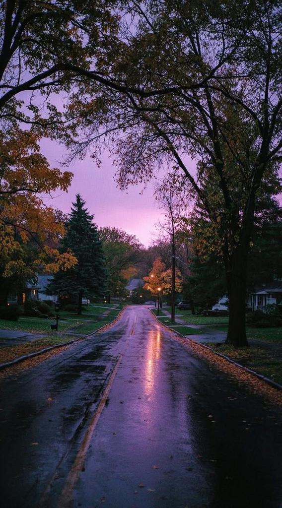 EarthPic tweet media