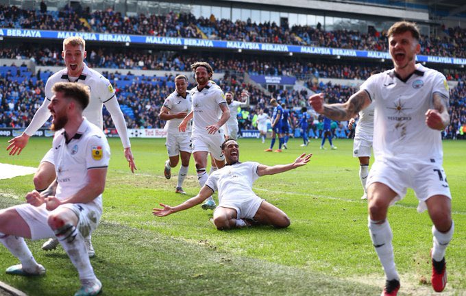 tom 🦢 tweet media