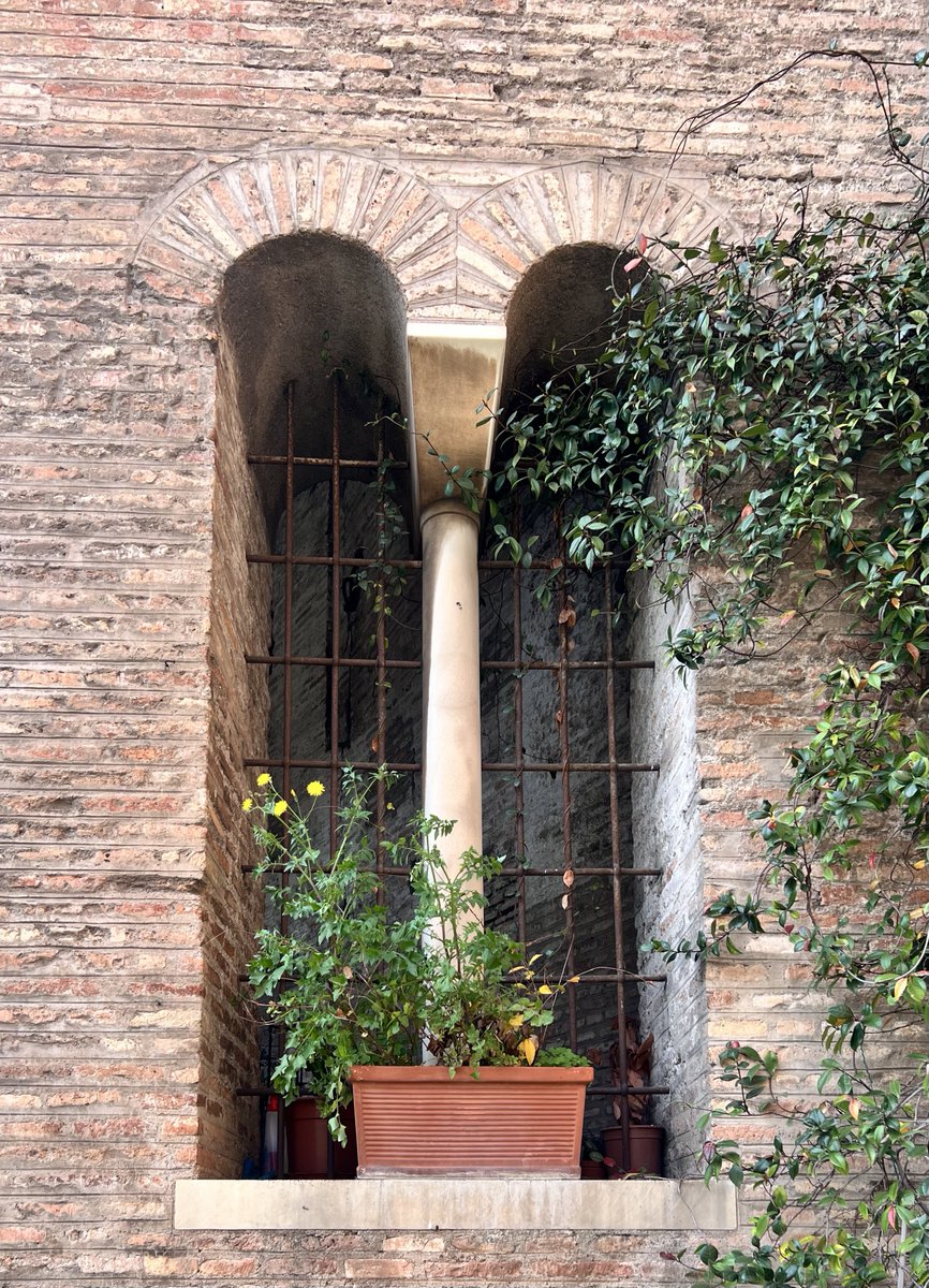 MinervaArmata  tweet media