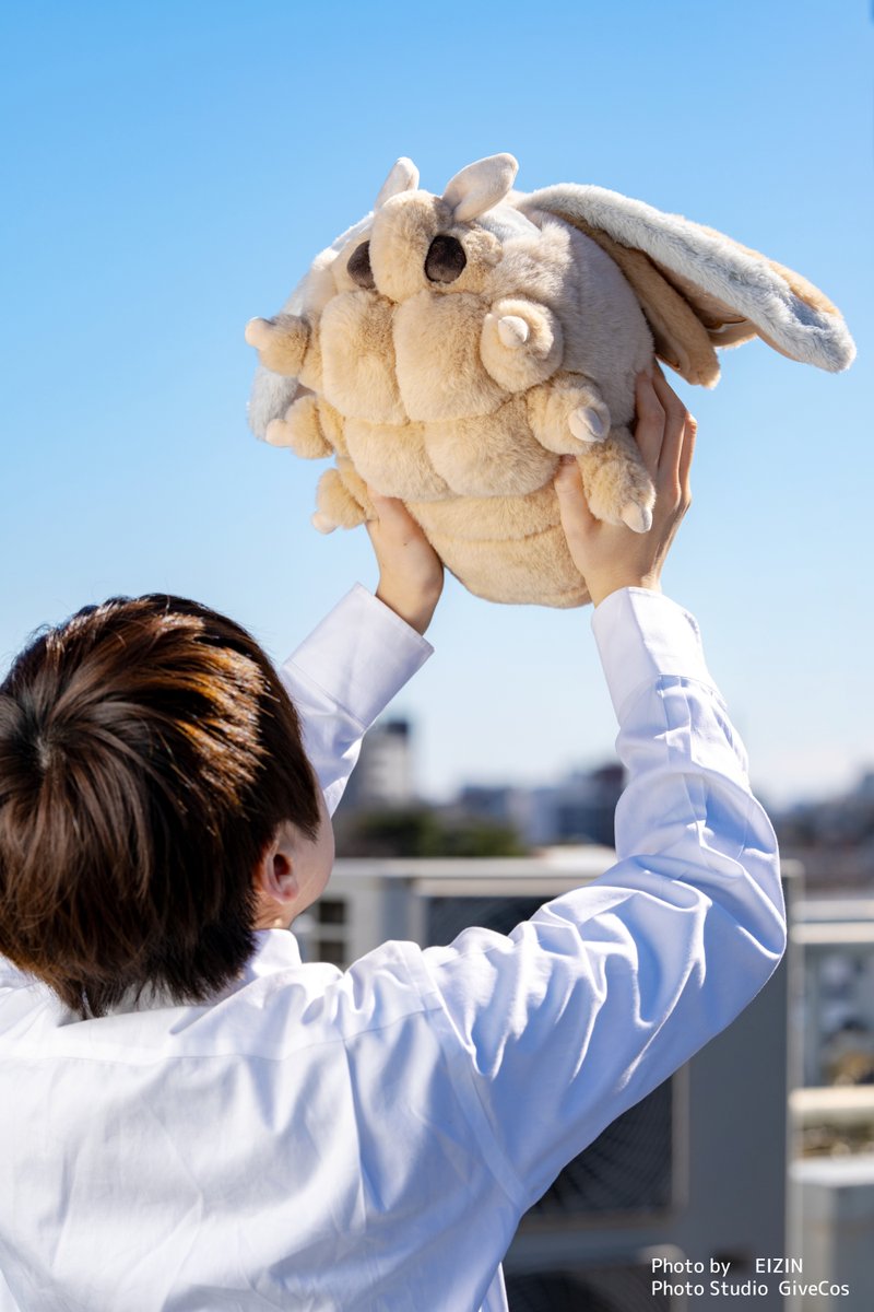 Big Fluffy Moth tweet media