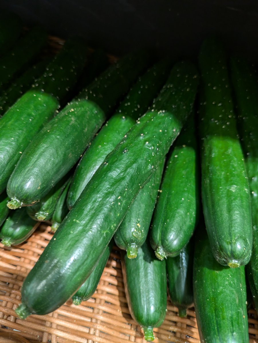 矢薙直樹 tweet media