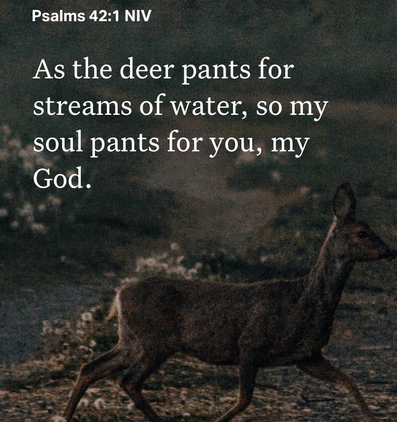 Ryan 🇺🇸 tweet media