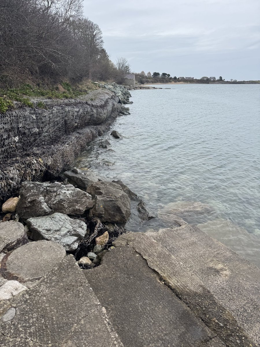 Chivers67 tweet media