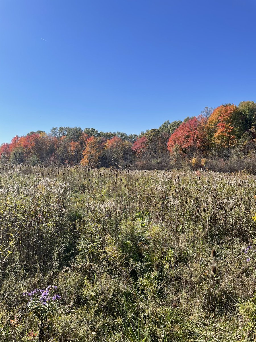 Katie Kraynak tweet media