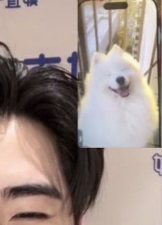 engene showed sunghoon samoyed pic (dog) and was like,
👤: "who's this?"
🐧: "SAMOYED!!"
👤: "no that's Park Sunghoon!! y'all look the same!!"
and apparentlyy he just laughed after that, pls he’s so cute 😭🤣

#성훈 #SUNGHOON #ソンフン
#엔하이픈 #ENHYPEN