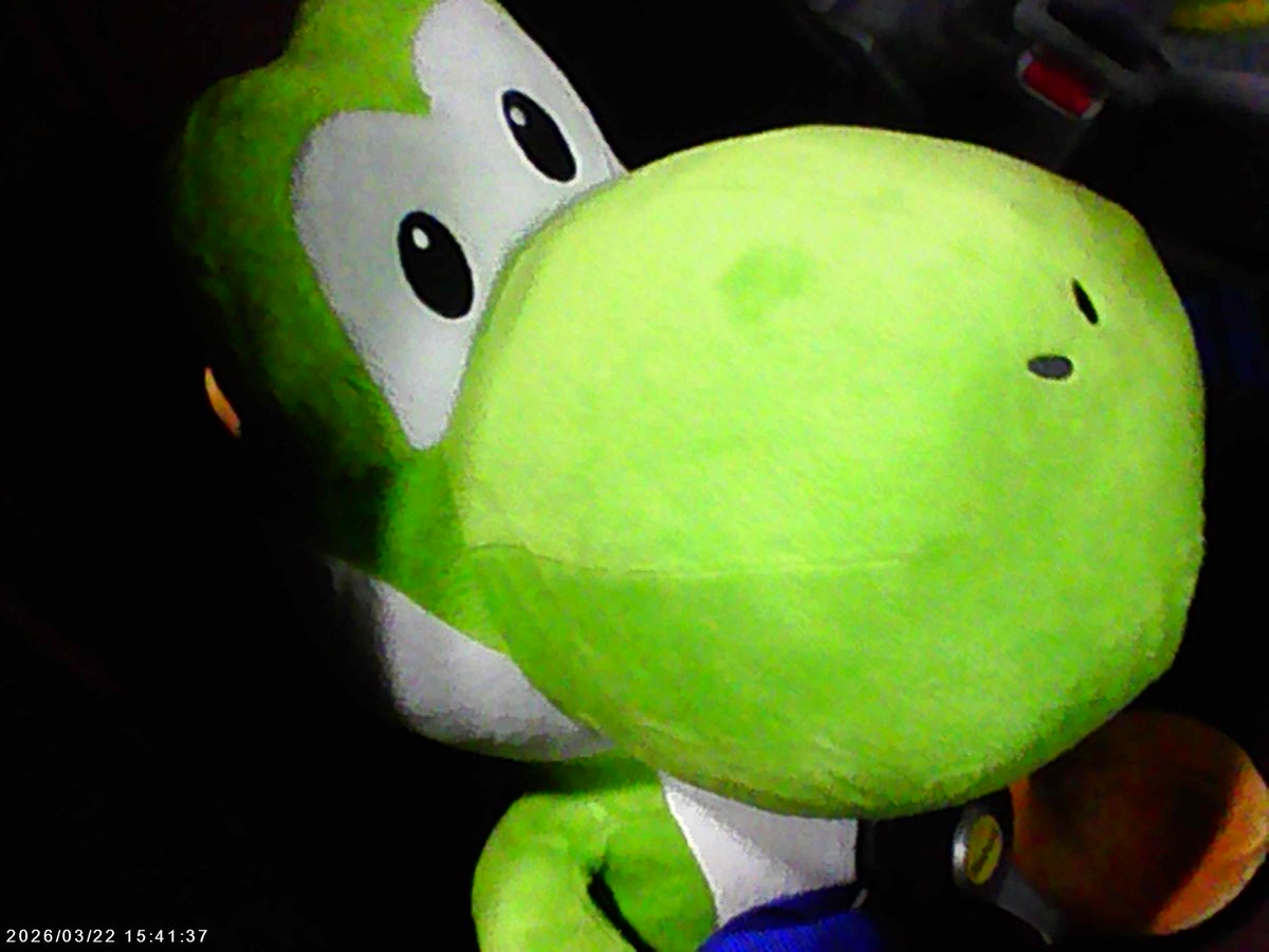 ヨッシー号 tweet media