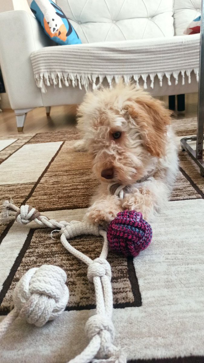 ♀ MAPA ♀ tweet media