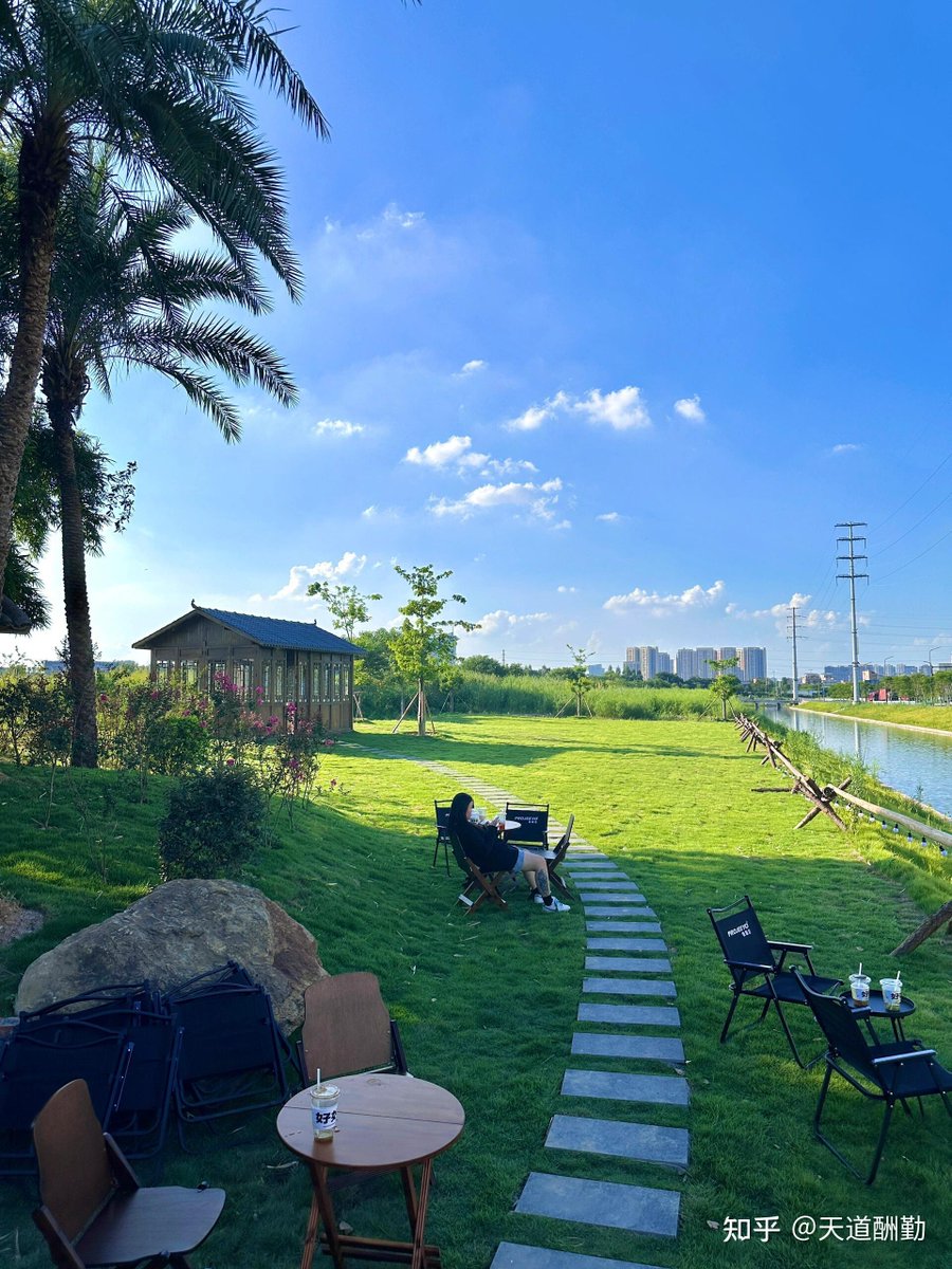 Lora Mitchell tweet media