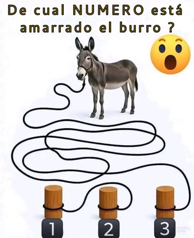 Soy Mike Zazueta tweet media