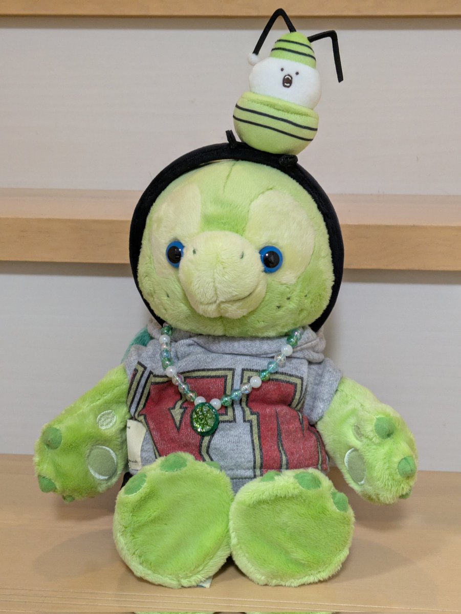 ✨🐢ぁみパンダ🐢✨ tweet media