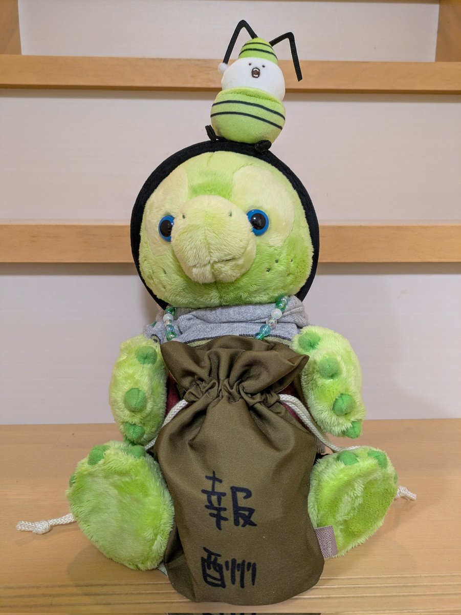 ✨🐢ぁみパンダ🐢✨ tweet media