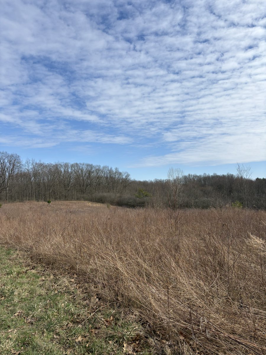 Katie Kraynak tweet media