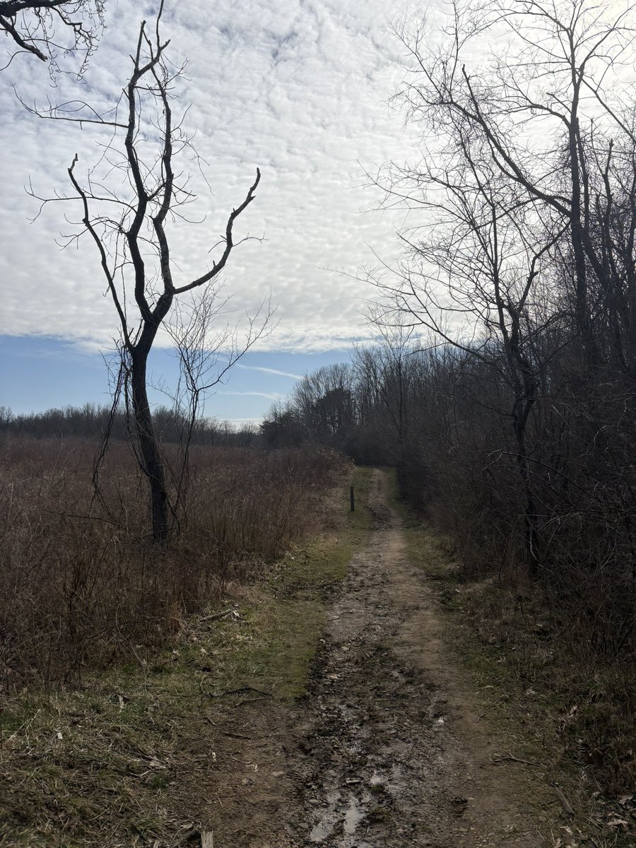 Katie Kraynak tweet media