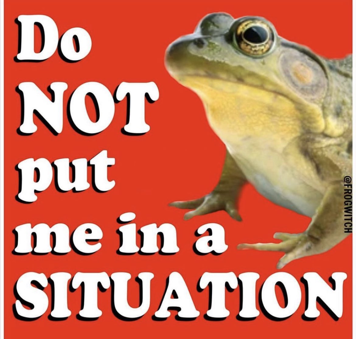 Aidan 愛膽 🎻🎻🎻 tweet media