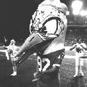 Mark Scott tweet media