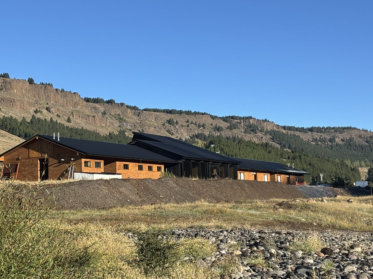 Pablo Ángel Gutiérrez Colantuono tweet media