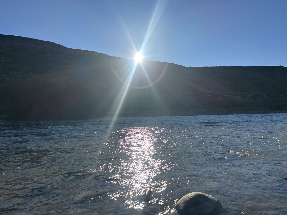 Pablo Ángel Gutiérrez Colantuono tweet media