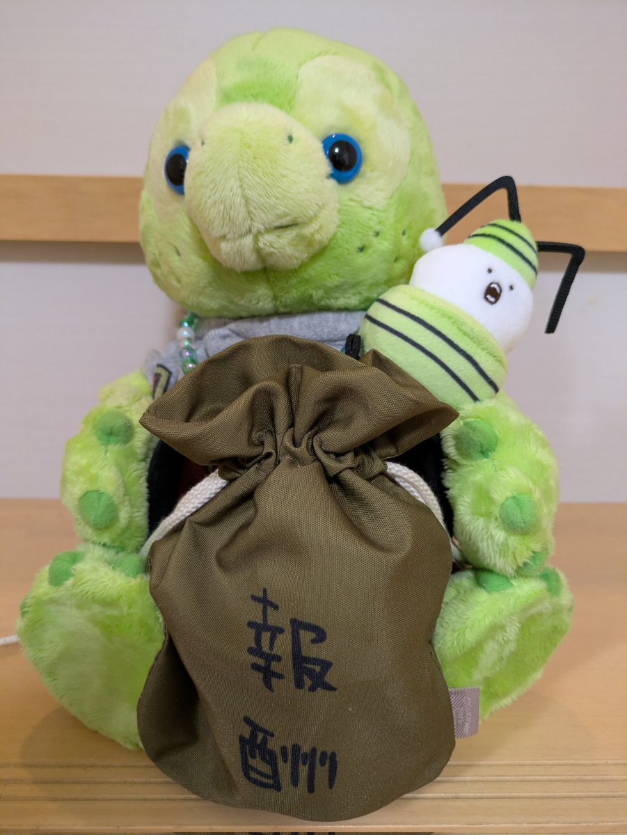 ✨🐢ぁみパンダ🐢✨ tweet media