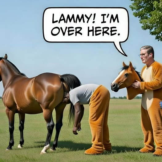 BYTCMgoodies tweet media