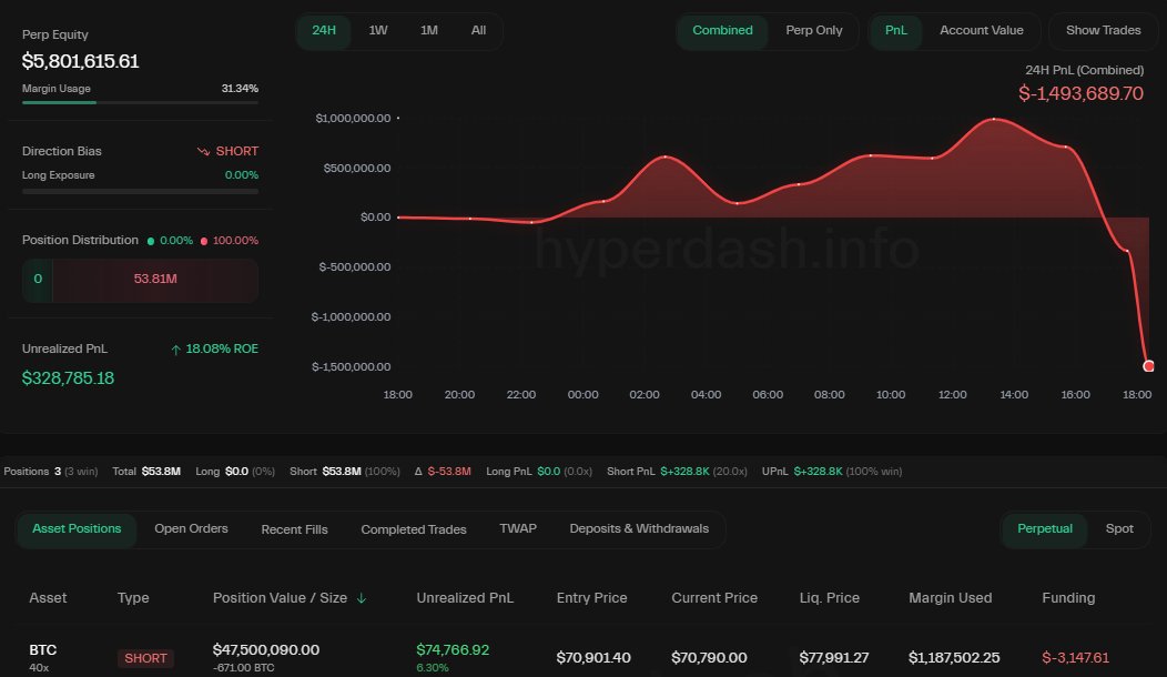 CryptoGoos tweet media