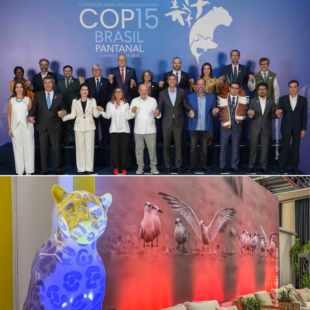 Programa da ONU para o Meio Ambiente tweet media