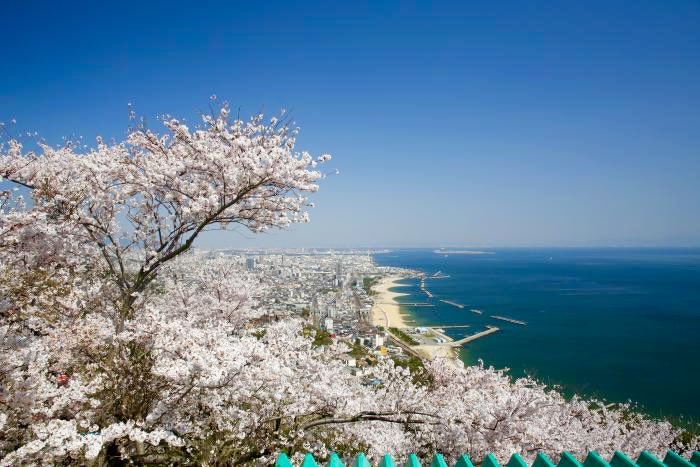 【兵庫県のお花見スポットまとめ】

・1枚目：姫路城(姫路市)
・2枚目：明石公園(明石市)
・3枚目：夙川公園(西宮市)
・4枚目：須磨浦山上遊園(神戸市須磨区)
・しあわせの村(神戸市北区)
・有馬温泉(神戸市北区)
・善福寺(神戸市北区)
・須磨寺(神戸市須磨区)
・神戸総合運動公園(神戸市須磨区)