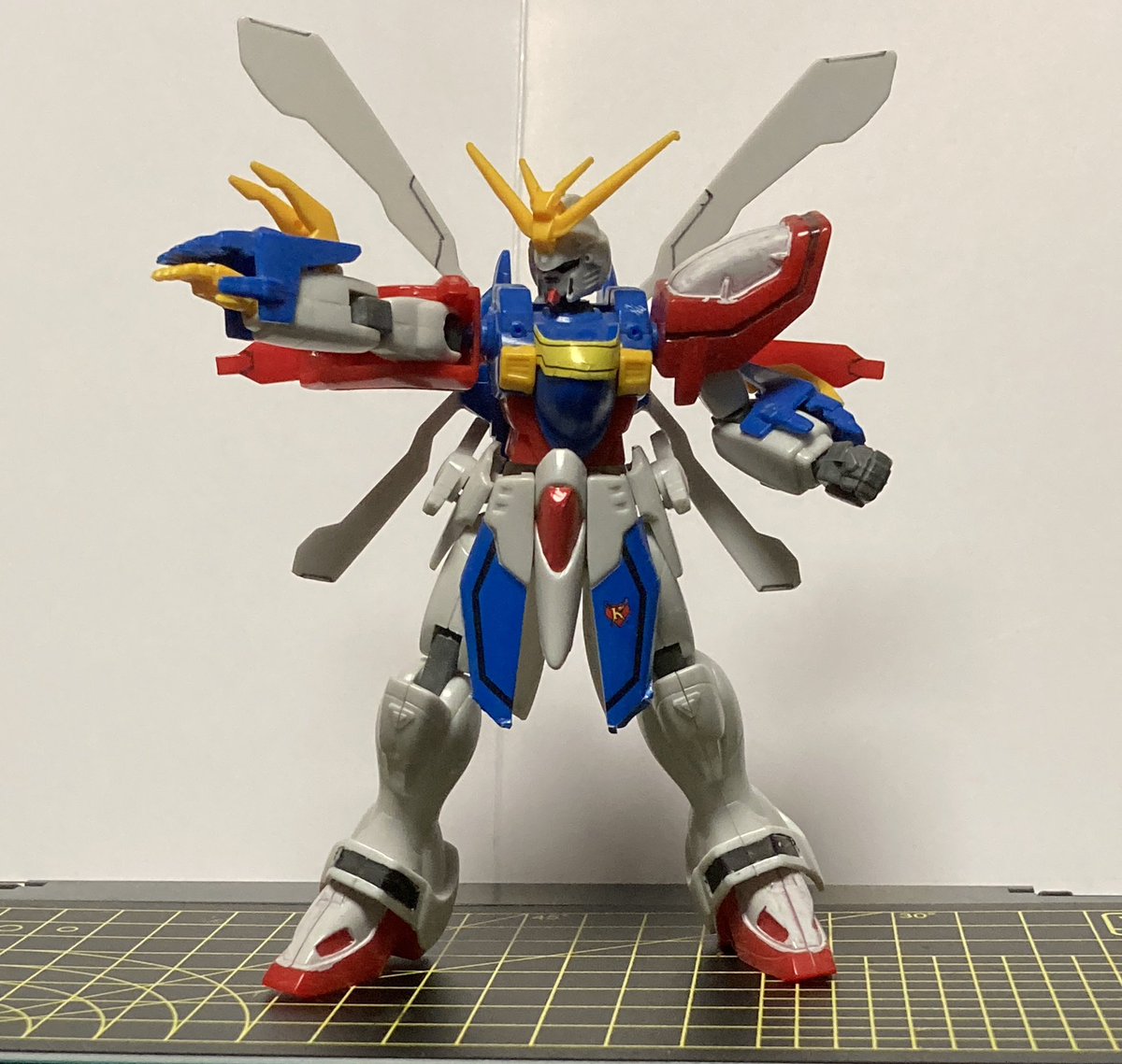 ラプター tweet media