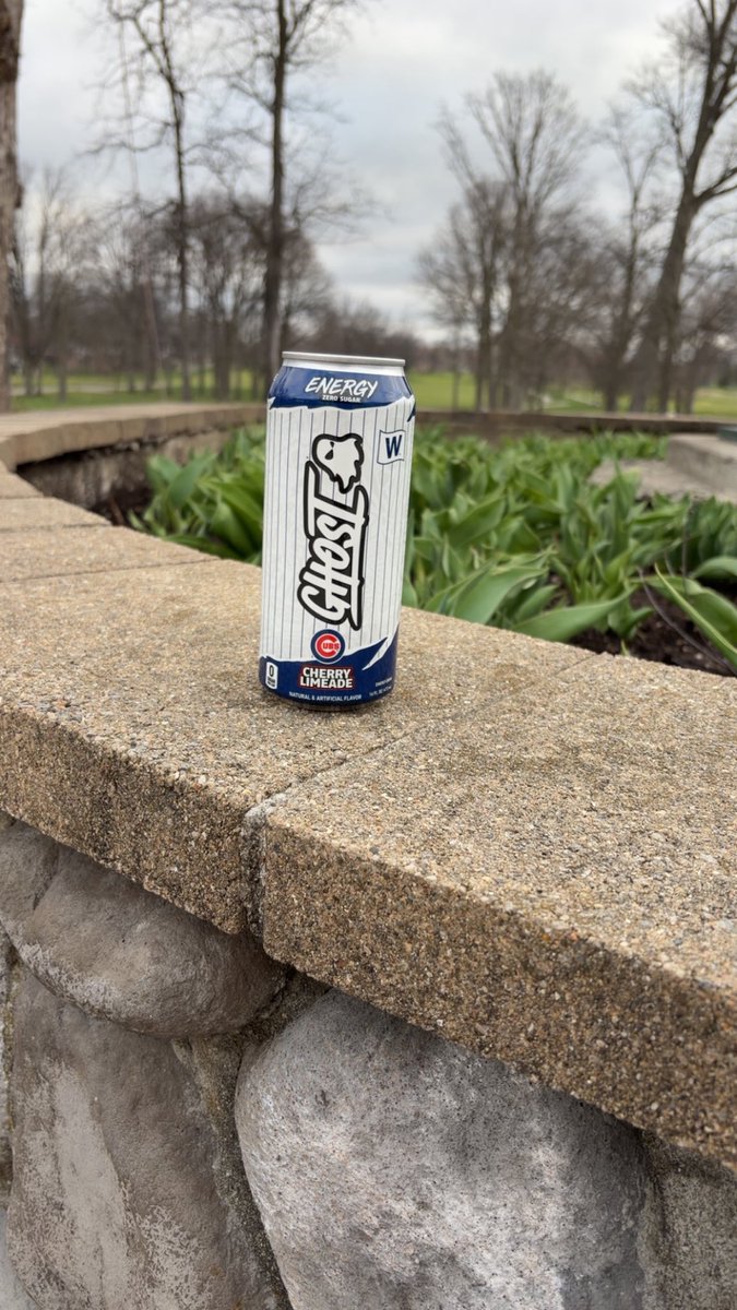 HREAM BIRD tweet media