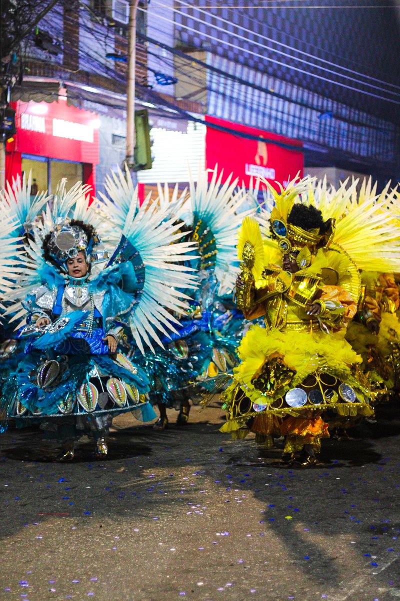 Acervo Beija-Flor de Nilópolis 🪞 tweet media