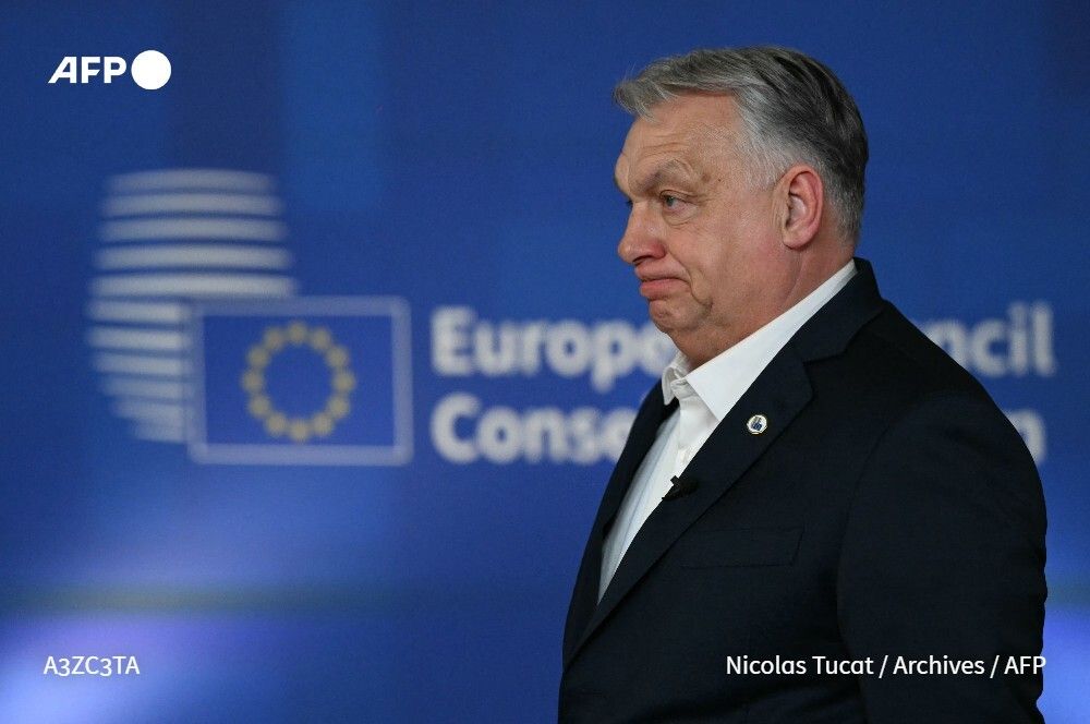 Agence France-Presse tweet media