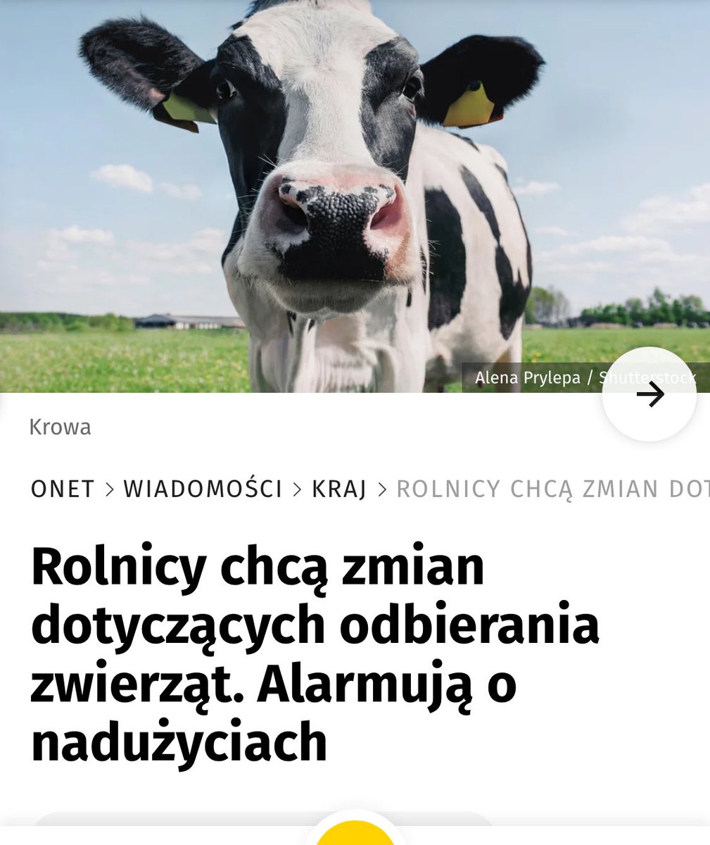 Ka SzaLew 📚 tweet media