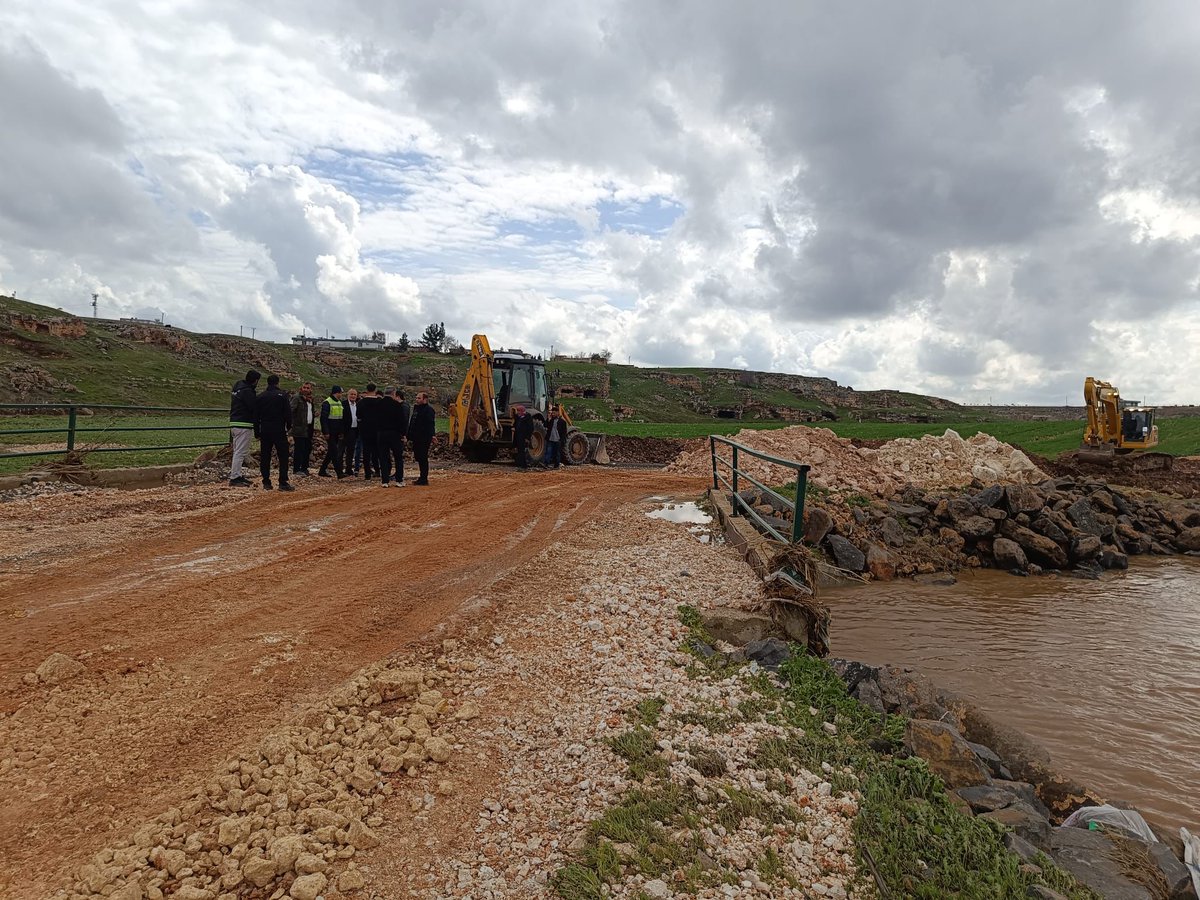 ŞBB Kırsal Hizmetler Dairesi Başkanlığı tweet media