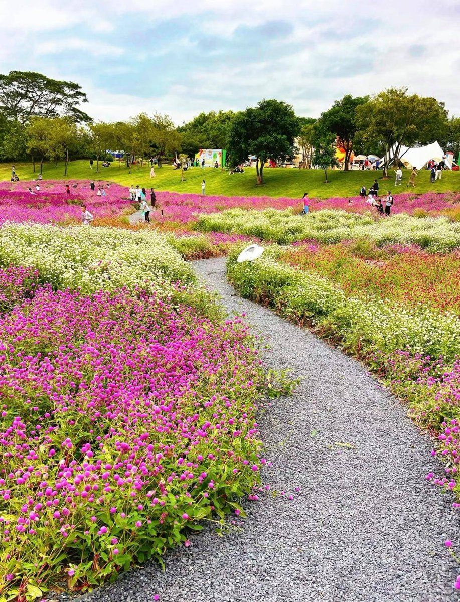 Kelly Sousa tweet media