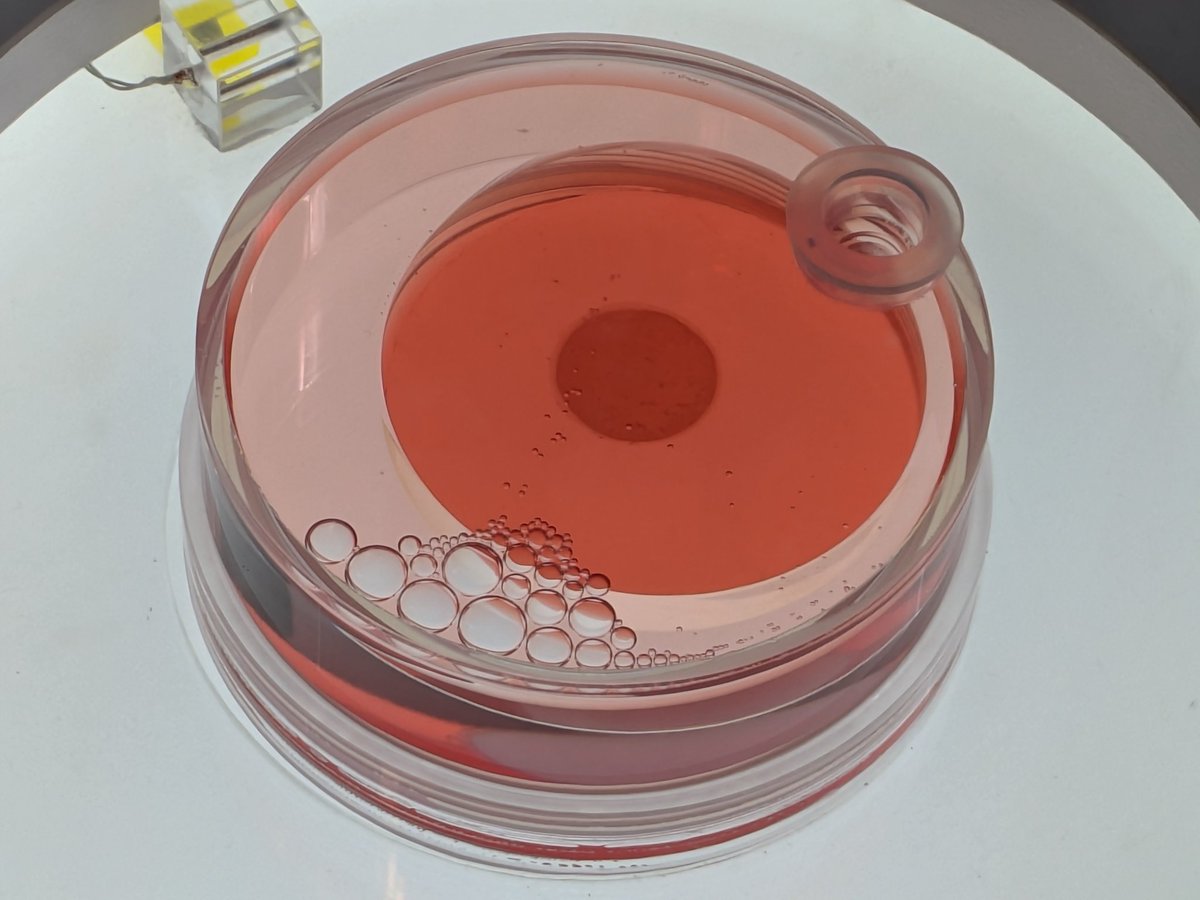 myamanari's tweet photo. #みゃくみゃくとつなぐ展 日本科学未来館。ヒトiPS心筋細胞は連休中に行ったとき微動だにしませんでしたが調子良ければ動くとのこと！常設展の量子コンピュータブース（充実！）に、Google の Nature論文がそのまんま置いてあったのですが、これ読む子供いたら世界変わりますよね（狙ってる？） https://t.co/DwJ5S2t9Vh