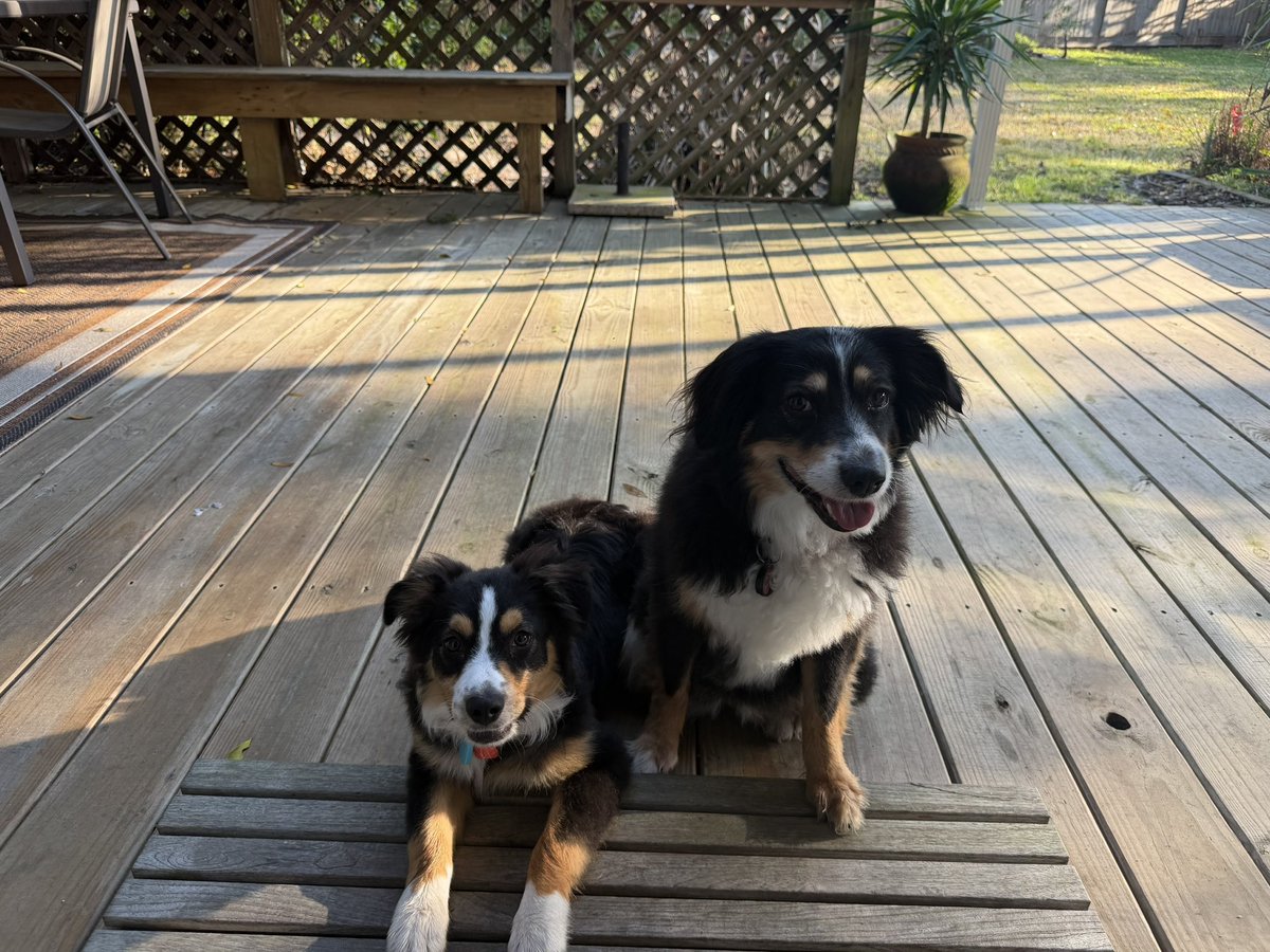 The Nikki V. tweet media