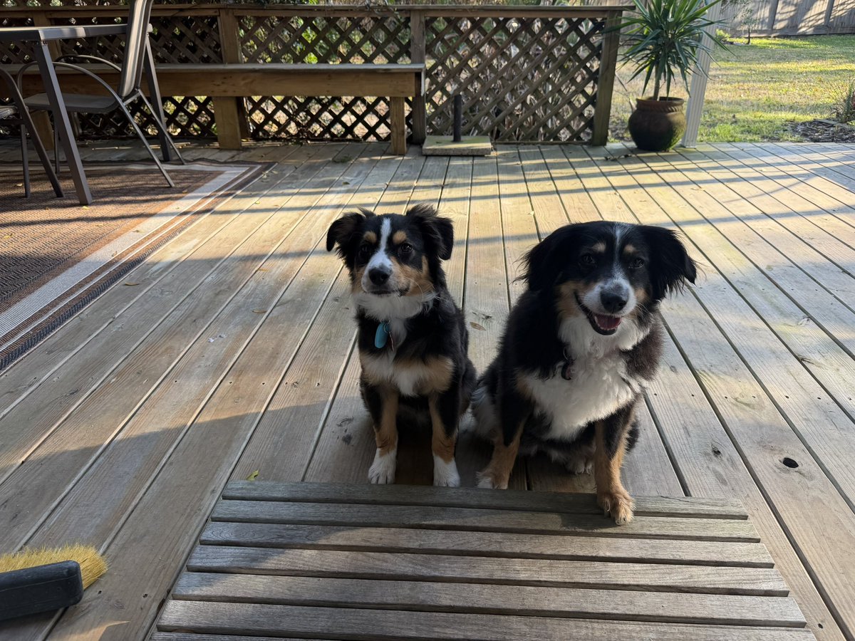 The Nikki V. tweet media