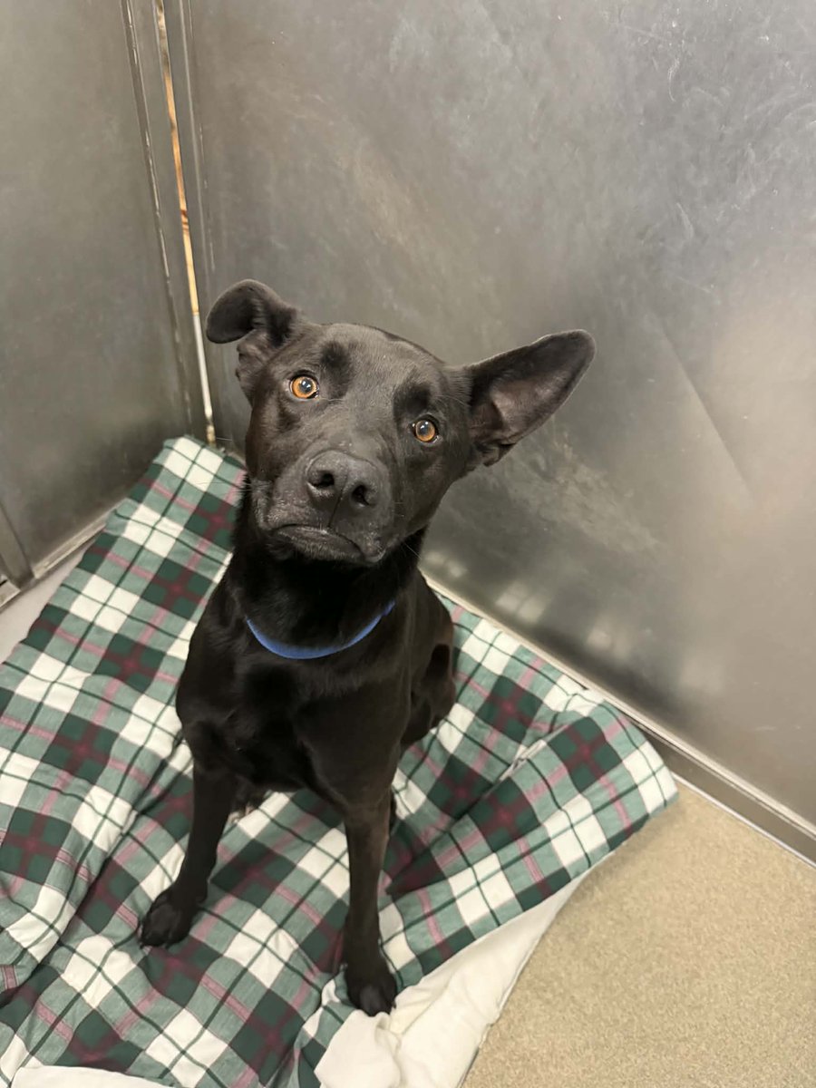 Buffalo County Sheriff's Office tweet media