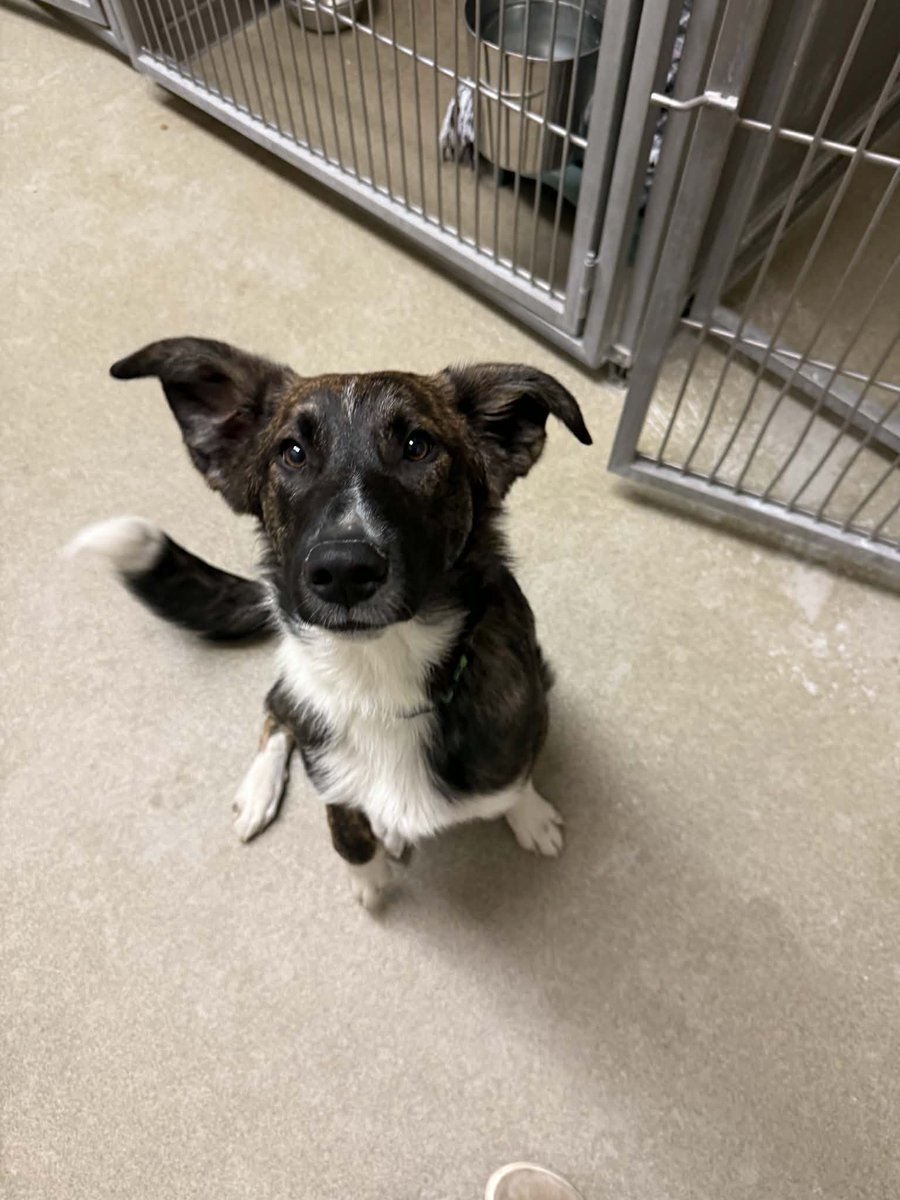 Buffalo County Sheriff's Office tweet media