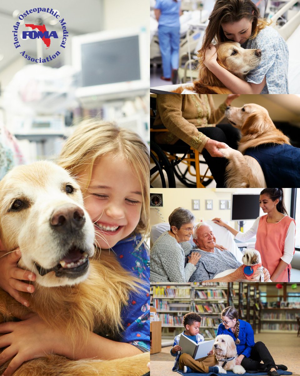 Florida Osteopathic Medical Association tweet media