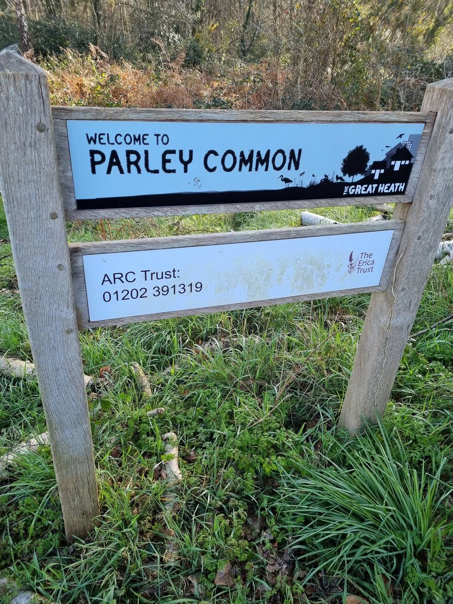 Missing Pets GB tweet media