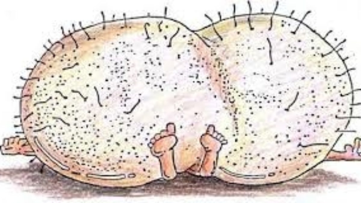 Virginia Siragusa tweet media