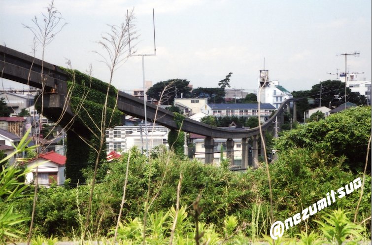 ネズミツオ tweet media