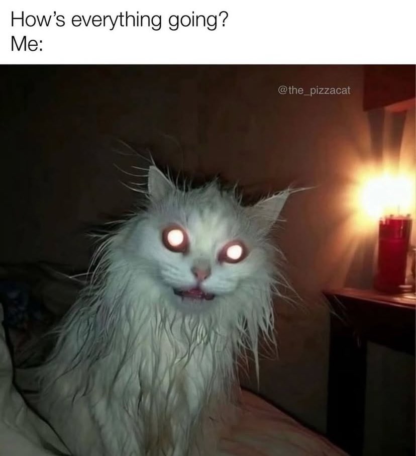 🇺🇦 Lesya Shevchenko tweet media