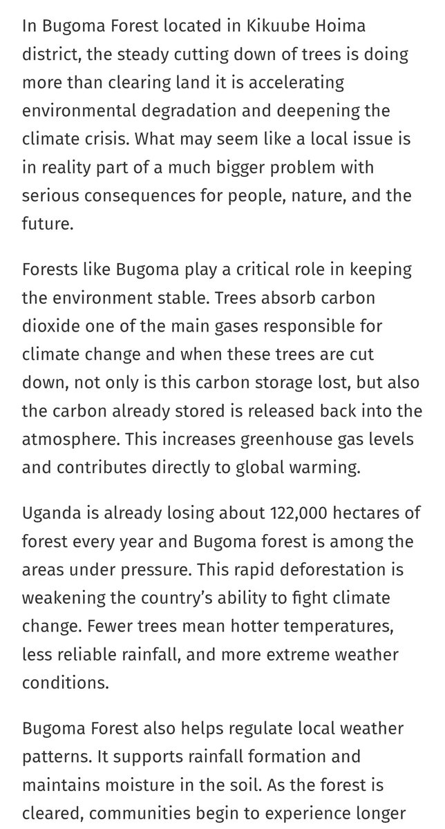WogemU's tweet photo. We cannot talk about #climatejustice while #Bugoma Forest is being destroyed.
Act now. #Restore now.
#SaveBugoma #ClimateJustice
https://t.co/3Q9eK5IS9N @ShallonAin2025 https://t.co/1djFnlswcg