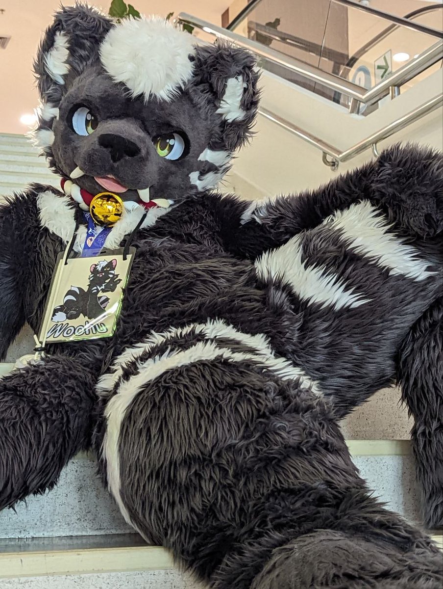 WUMI🌊 tweet media