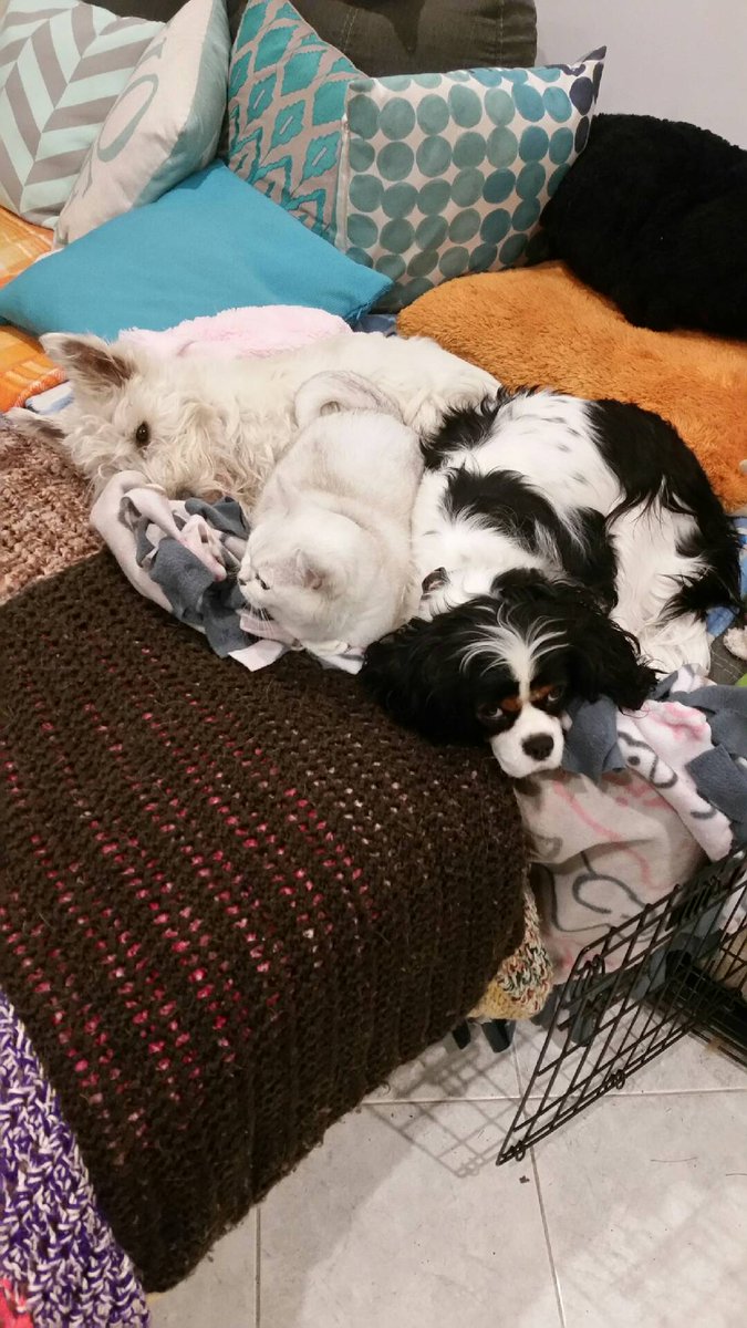 Maggie giver of hugs & goodwill. tweet media