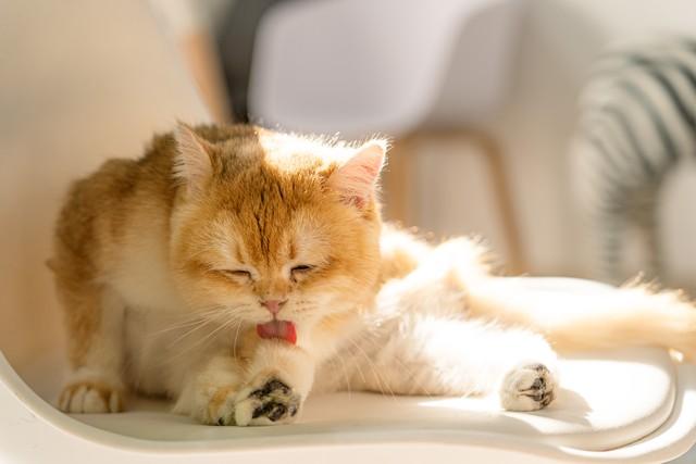 CheckMyFlow♥ tweet media