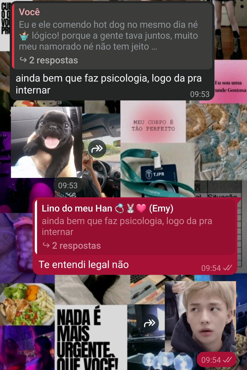 May Han 🦊☆ VIU O SKZ! tweet media